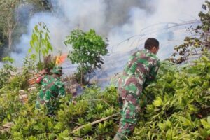Menanti Tindakan Tegas Aparat kepada Pelaku Karhutla Riau