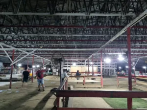 Joki yang Tewas Diserang Ayam Aduan di Arena Tajen Tinggalkan 3 Anak