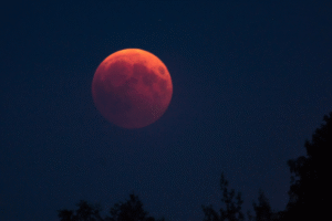 Bulan Purnama Merah Darah ‘Blood Moon’, Hiasi Langit 7-8 September