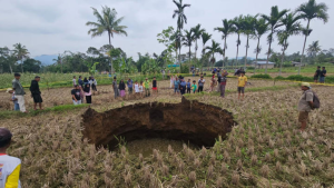 Sinkhole Tiba-tiba Muncul di Tengah Sawah Sumbar, Ahli Geologi Beberkan Penyebabnya