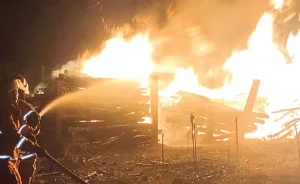 Bocah Main Korek Bakar Sarang Tawon, Gudang Kayu di Nganjuk Ludes Terbakar