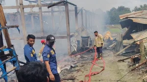 Tragedi di Kandang Sindon: 10 Ribu Nyawa Ayam Melayang dalam Kobaran Api Semalam