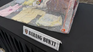 Tergiur Rupiah, Ibu di Jakarta Barat Tega Jual Anak Kandung ke Jaringan Lintas Provinsi