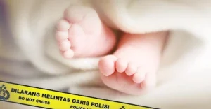 Tragedi Memilukan di Aillevillers-et-Lyaumont: Dua Jasad Bayi Beku Ditemukan, Ibu Kandung Diamankan