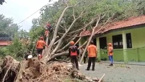 Cuaca Ekstrem di Sampang: 15 Bangunan Rusak Diterjang Angin Kencang, Termasuk Sebuah Madrasah