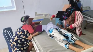 Tragedi Kuliner di Mamuju: Tujuh Warga Keracunan Usai Santap Daging Anjing Sakit