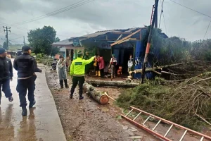 Pangalengan Dilanda Cuaca Ekstrem: Pohon Tumbang Timpa Kendaraan Wisatawan
