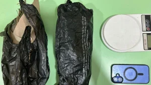Pengedar Ganja Di Taman Sari Ditangkap! Polda Metro Jaya Sita 150 Gram Barang Bukti