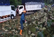 Tragedi Cuaca Ekstrem di Batang: Jalur Pantura Lumpuh Total, Tiga Nyawa Melayang