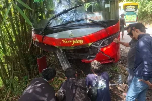 Maut di Jalur Purworejo-Magelang: Rem Mendadak karena Kucing, Satu Pengendara Motor Tewas Terlindas Bus