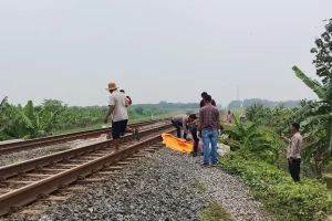 Nahas, Petani di Indramayu Tewas Tertabrak Kereta Api Saat Mencari Sisa Panen