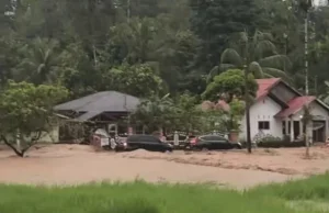 Update Banjir Pasaman: Satu Korban Ditemukan Meninggal Dunia, Tim SAR Masih Cari Dewi Hayati