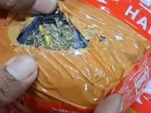 Ganja 3,6 Kilogram Disita dari Pengedar di Tanah Abang, Polisi Buru Pemasok Berinisial AR