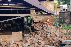 Gempa M 4,7 Guncang Flores Timur: 79 Rumah di Pulau Adonara Dilaporkan Rusak