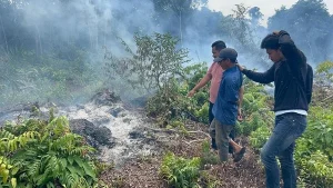 Polres Bengkalis Ringkus Pelaku Pembakaran Lahan di Desa Pedekik, Lahan 0,5 Hektare Hangus