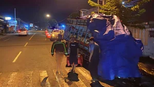 Diduga Sopir Mengantuk, Truk Muat Daun Jeruk Tabrak Pohon di Wonogiri, Satu Orang Tewas