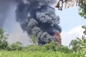 Peternakan Ayam di Ciseeng Bogor Terbakar: 150 Ribu Ekor Ayam Hangus, Rugi Rp15 Miliar