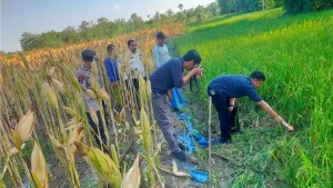 Senjata Makan Tuan, Petani di Grobogan Tewas Tersengat Jebakan Tikus Pasangannya Sendiri